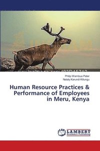 bokomslag Human Resource Practices & Performance of Employees in Meru, Kenya