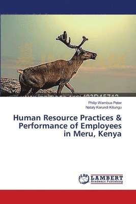 bokomslag Human Resource Practices & Performance of Employees in Meru, Kenya