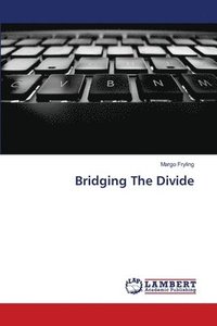 bokomslag Bridging The Divide
