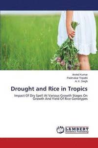 bokomslag Drought and Rice in Tropics