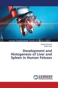 bokomslag Development and Histogenesis of Liver and Spleen in Human Fetuses