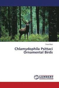 bokomslag Chlamydophila Psittaci Ornamental Birds