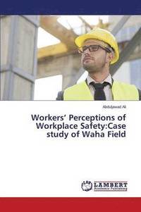 bokomslag Workers' Perceptions of Workplace Safety