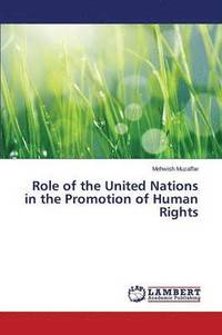bokomslag Role of the United Nations in the Promotion of Human Rights