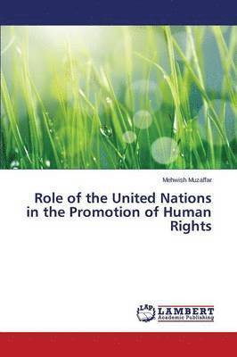 Role of the United Nations in the Promotion of Human Rights 1
