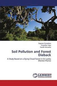 bokomslag Soil Pollution and Forest Dieback