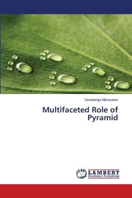 Multifaceted Role of Pyramid 1
