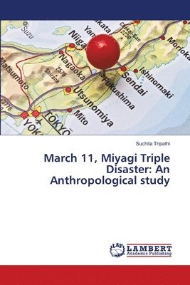 March 11, Miyagi Triple Disaster 1