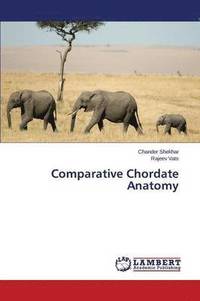 bokomslag Comparative Chordate Anatomy