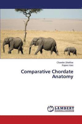 Comparative Chordate Anatomy 1