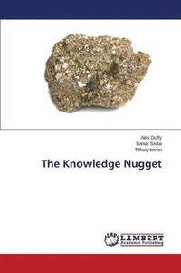 bokomslag The Knowledge Nugget