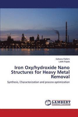 Iron Oxy/hydroxide Nano Structures for Heavy Metal Removal 1