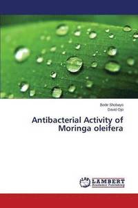 bokomslag Antibacterial Activity of Moringa oleifera