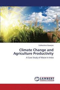 bokomslag Climate Change and Agriculture Productivity