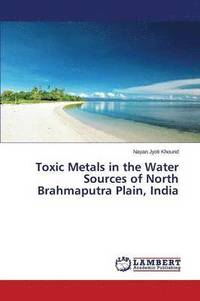 bokomslag Toxic Metals in the Water Sources of North Brahmaputra Plain, India