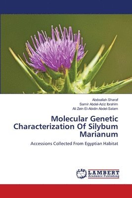 Molecular Genetic Characterization Of Silybum Marianum 1