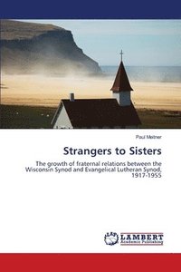 bokomslag Strangers to Sisters
