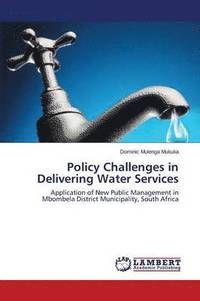 bokomslag Policy Challenges in Delivering Water Services