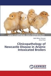 bokomslag Clinicopathology of Newcastle Disease in Arsenic Intoxicated Broilers