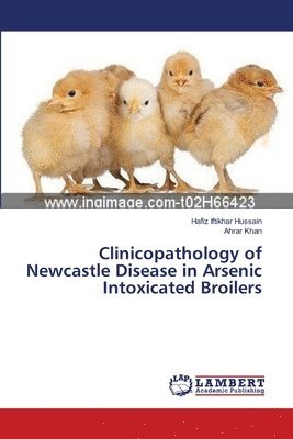 Clinicopathology of Newcastle Disease in Arsenic Intoxicated Broilers 1