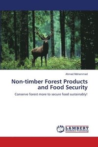 bokomslag Non-timber Forest Products and Food Security