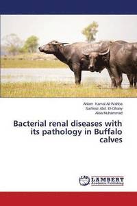 bokomslag Bacterial renal diseases with its pathology in Buffalo calves