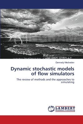 bokomslag Dynamic stochastic models of flow simulators