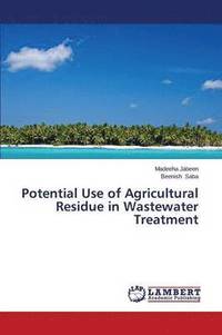 bokomslag Potential Use of Agricultural Residue in Wastewater Treatment