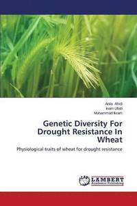 bokomslag Genetic Diversity for Drought Resistance in Wheat