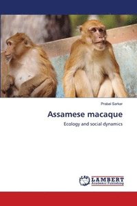 bokomslag Assamese macaque