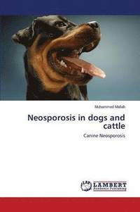 bokomslag Neosporosis in dogs and cattle