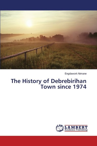 bokomslag The History of Debrebirihan Town since 1974