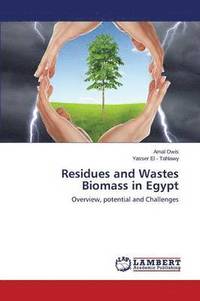bokomslag Residues and Wastes Biomass in Egypt