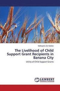 bokomslag The Livelihood of Child Support Grant Recipients in Banana City