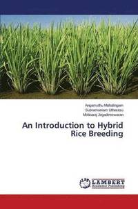 bokomslag An Introduction to Hybrid Rice Breeding