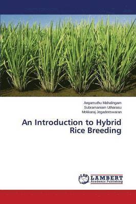 Mahalingam Angamuthu, Utharasu Subramaniam, Jegadeeswaran Mokkaraj, Angamuthu Mahalingam, Subramaniam Utharasu, Mokkaraj Jegadeeswaran - Introduction to Hybrid Rice Breeding, Häftad