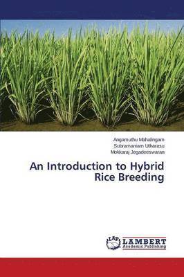 An Introduction to Hybrid Rice Breeding 1