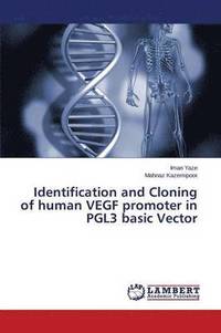 bokomslag Identification and Cloning of Human Vegf Promoter in Pgl3 Basic Vector