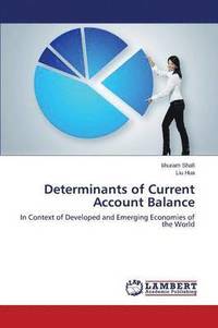 bokomslag Determinants of Current Account Balance