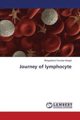 Journey of Lymphocyte 1