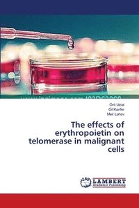 bokomslag The effects of erythropoietin on telomerase in malignant cells