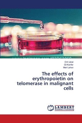 The effects of erythropoietin on telomerase in malignant cells 1