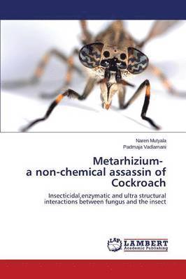 Metarhizium- A Non-Chemical Assassin of Cockroach 1