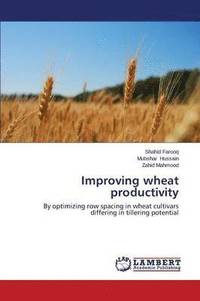 bokomslag Improving wheat productivity