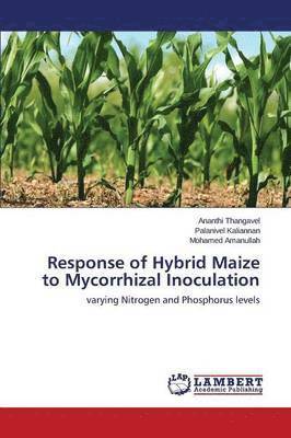 Response of Hybrid Maize to Mycorrhizal Inoculation 1