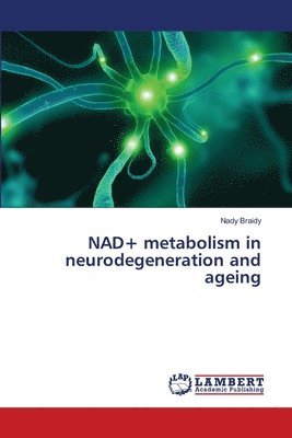 NAD+ metabolism in neurodegeneration and ageing 1