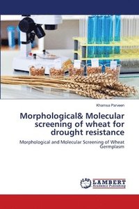 bokomslag Morphological& Molecular screening of wheat for drought resistance