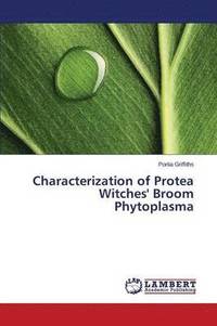 bokomslag Characterization of Protea Witches' Broom Phytoplasma