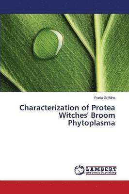 Characterization of Protea Witches' Broom Phytoplasma 1