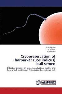 bokomslag Cryopreservation of Tharparkar (Bos Indicus) Bull Semen